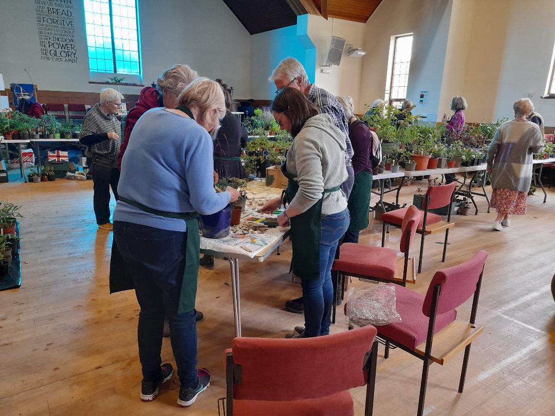 Potting up plants at the Annual Plant Sale